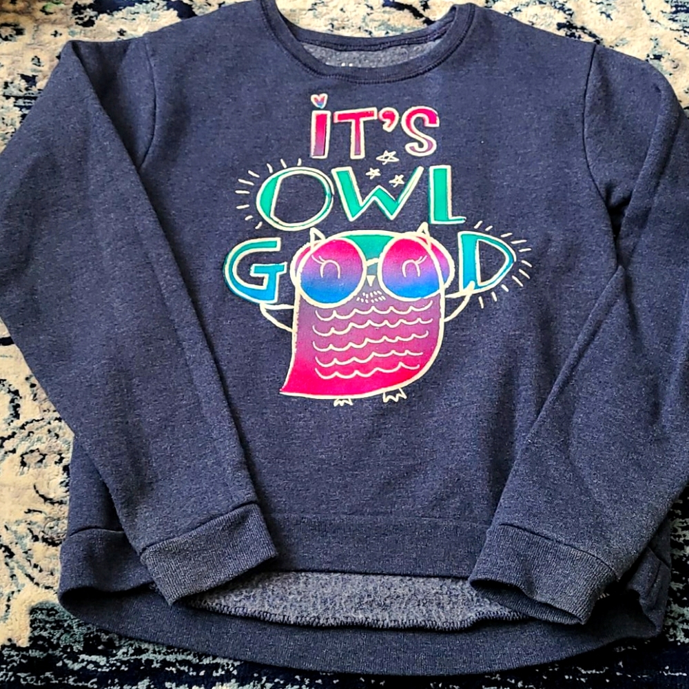 Hanes Owl Sweatshirt